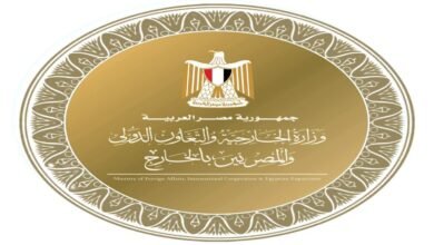 وزارة الخارجية والتعاون الدولي والمصريين بالخارج